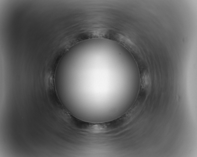 X0000089900522200707051310