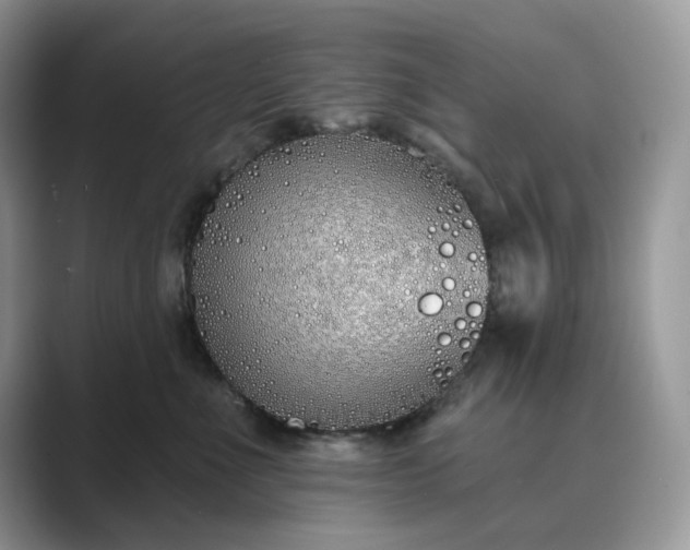X0000089900523200707051310