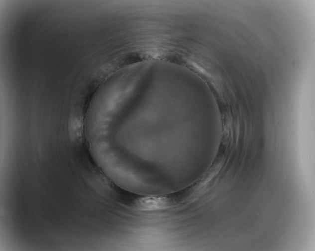 X0000089900526200707051310
