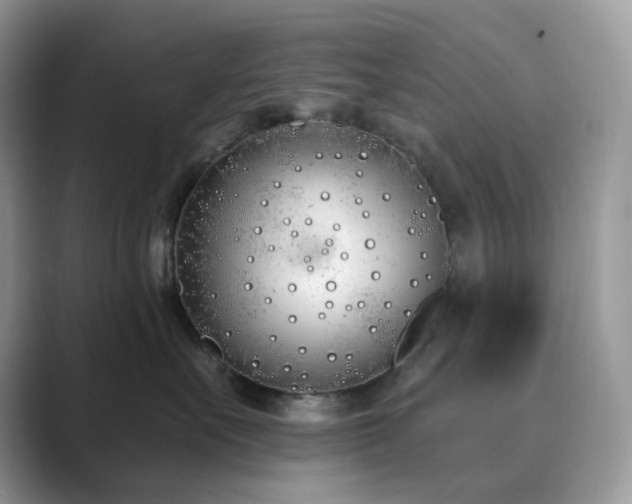 X0000089900527200707051310
