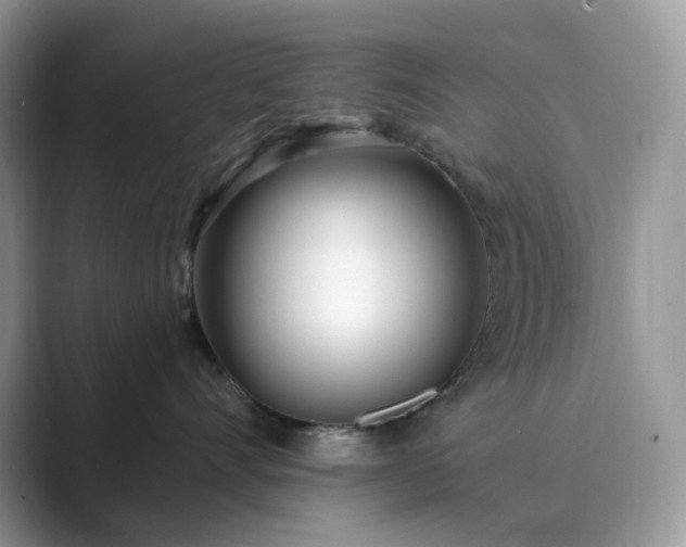 X0000089900528200707051310