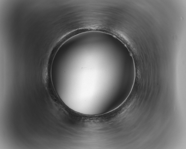X0000089900532200707051309