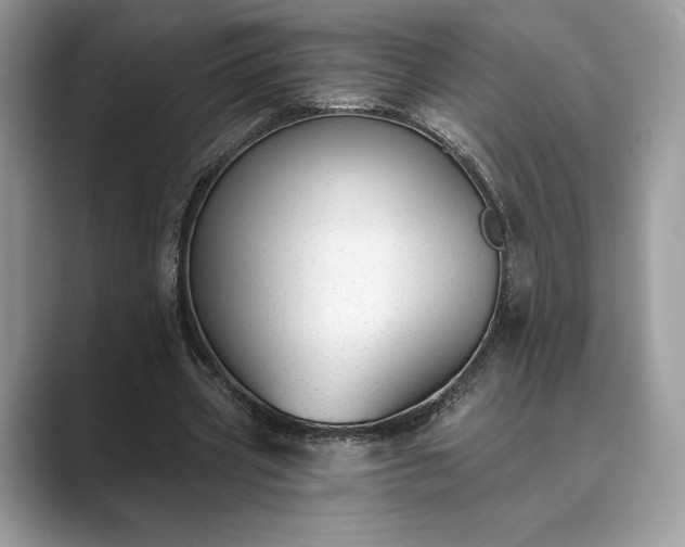 X0000089900533200707051309