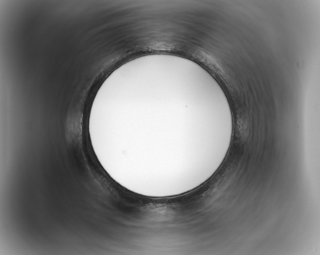 X0000089900534200707051309