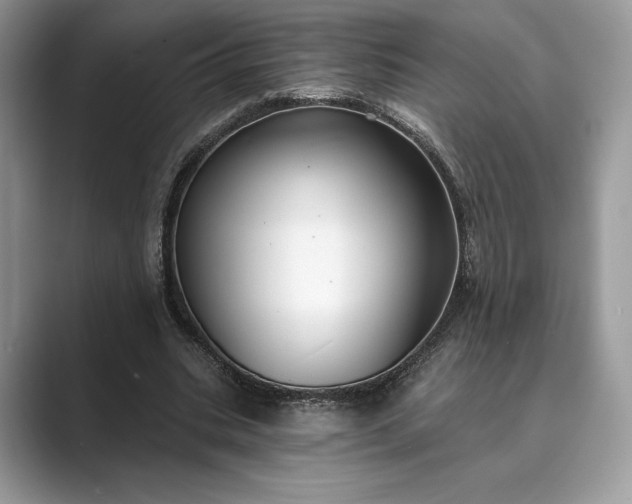X0000089900535200707051309