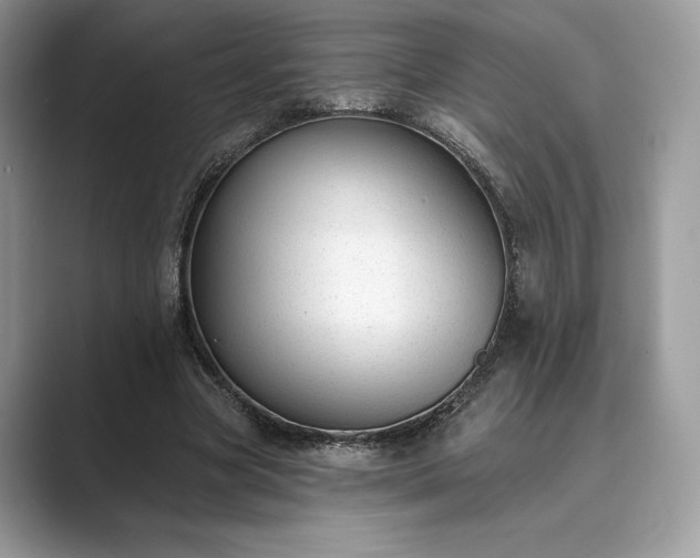 X0000089900537200707051309