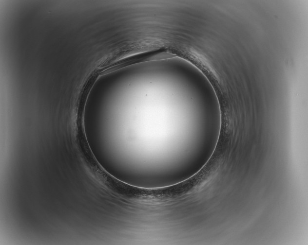 X0000089900538200707051309