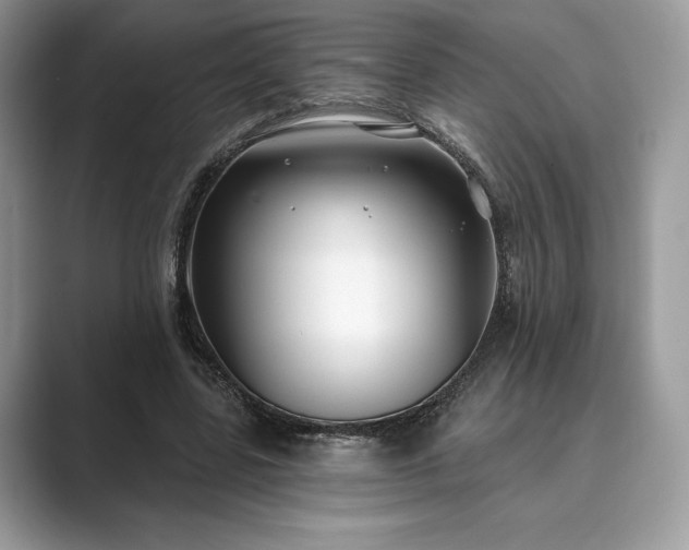 X0000089900539200707051309