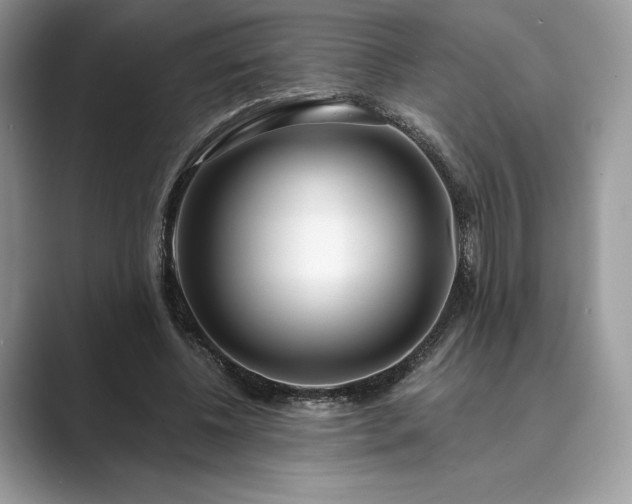 X0000089900540200707051309