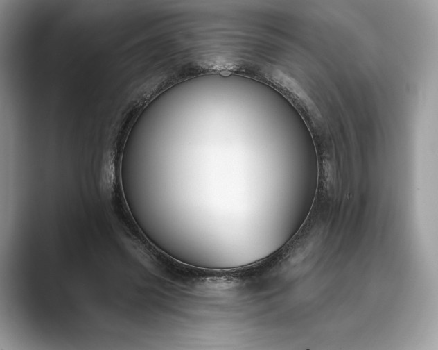 X0000089900541200707051309
