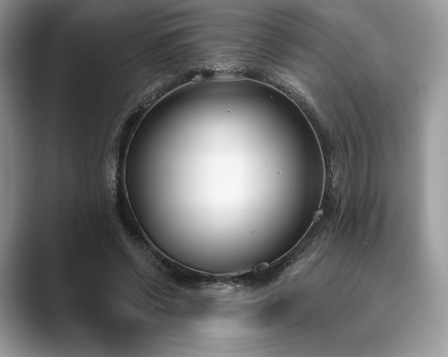 X0000089900542200707051309