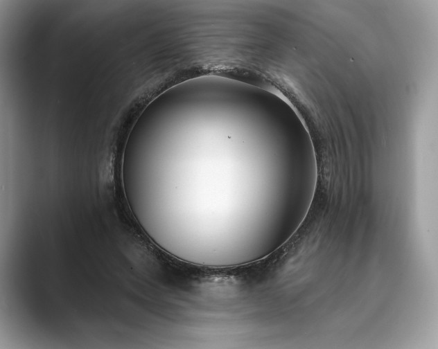 X0000089900543200707051309