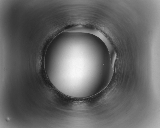 X0000089900544200707051309