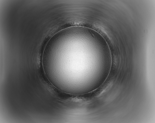 X0000089900545200707051309