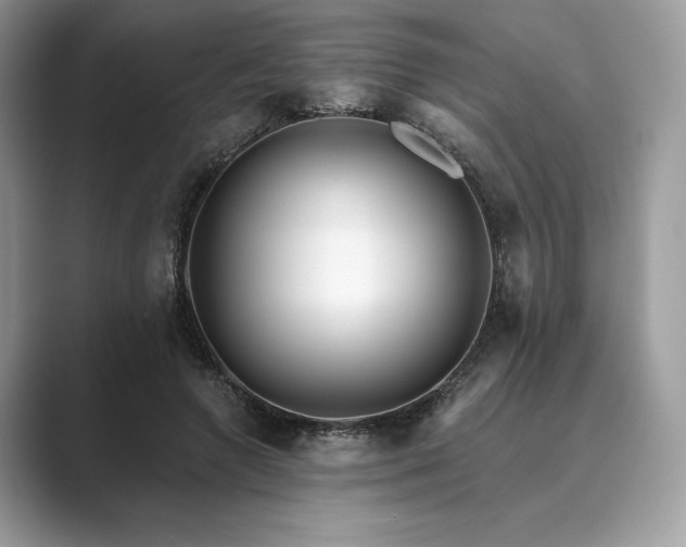 X0000089900546200707051309