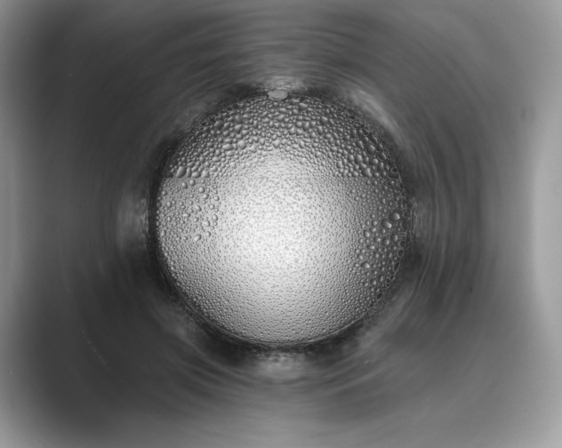 X0000089900549200707051310