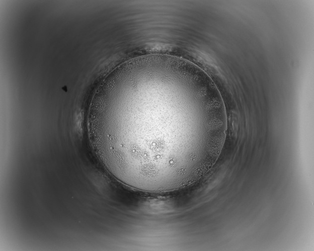 X0000089900550200707051310
