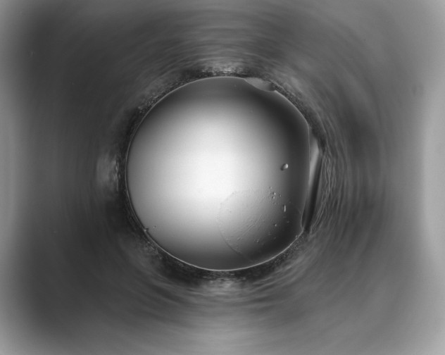 X0000089900551200707051310