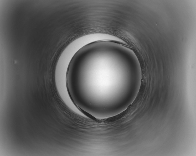 X0000089900552200707051310