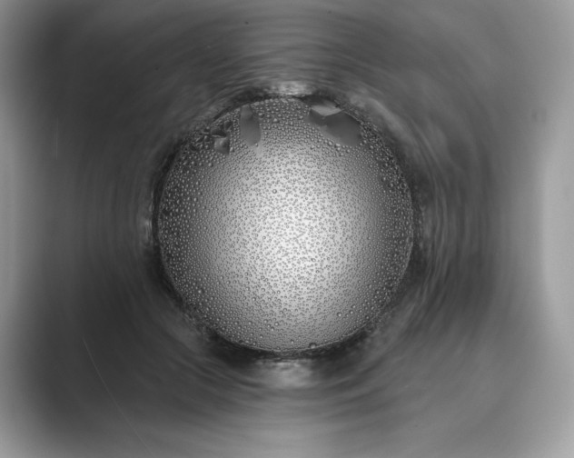 X0000089900553200707051310