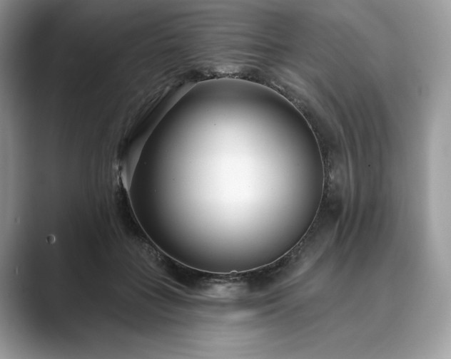 X0000089900555200707051310