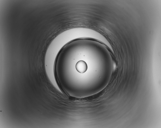 X0000089900556200707051310