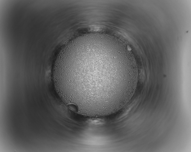 X0000089900557200707051310