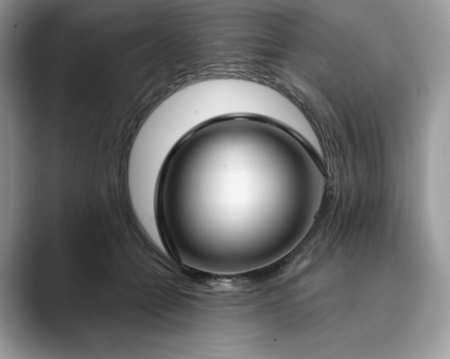 X0000089900558200707051310