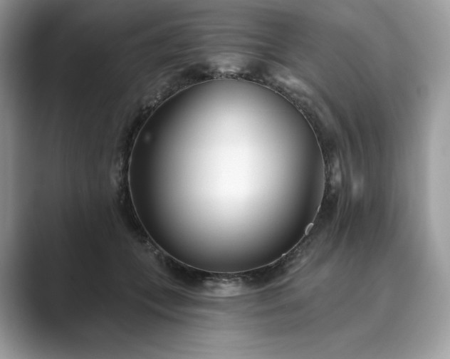 X0000089900559200707051310