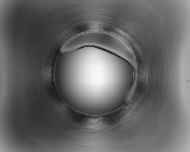 X0000089900560200707051310