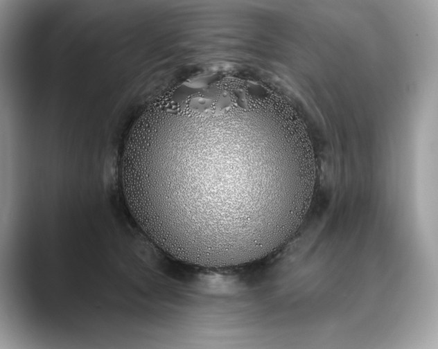 X0000089900561200707051310