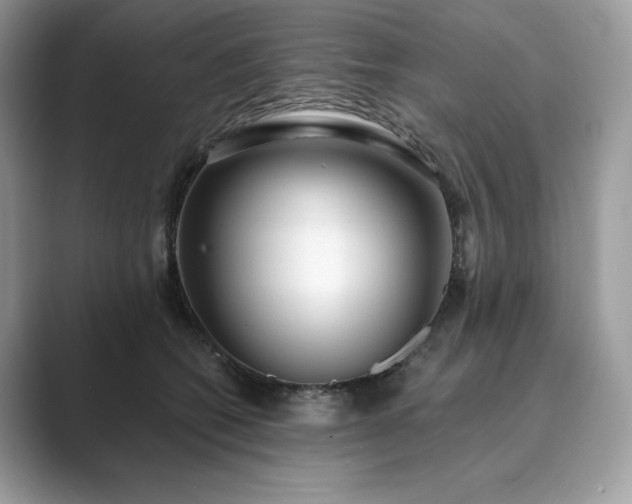 X0000089900562200707051310