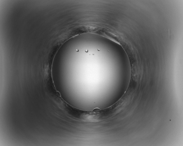 X0000089900563200707051310