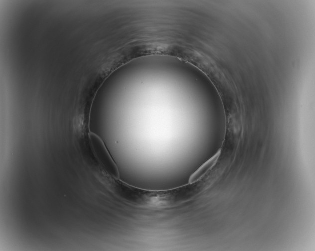 X0000089900564200707051310