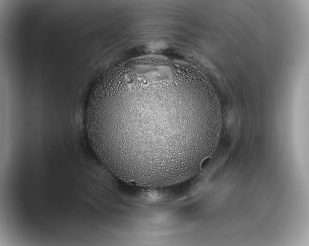 X0000089900565200707051310