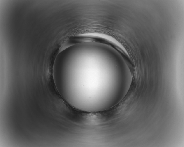 X0000089900566200707051310