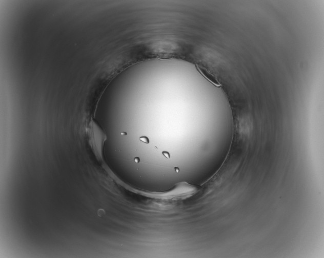 X0000089900567200707051310