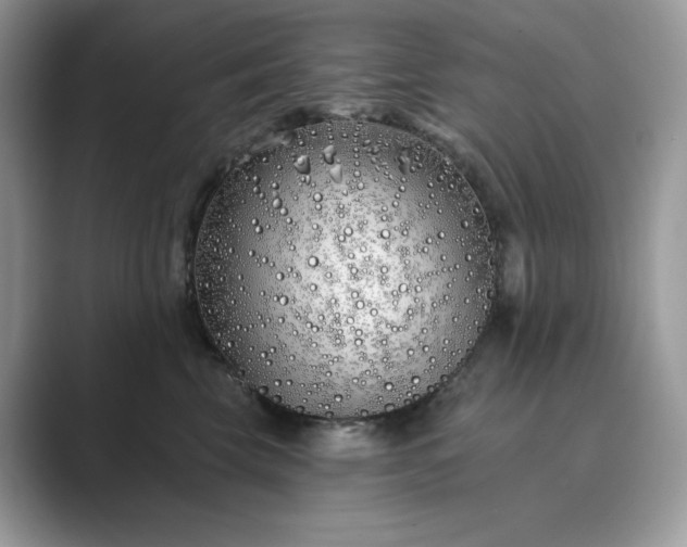 X0000089900569200707051310