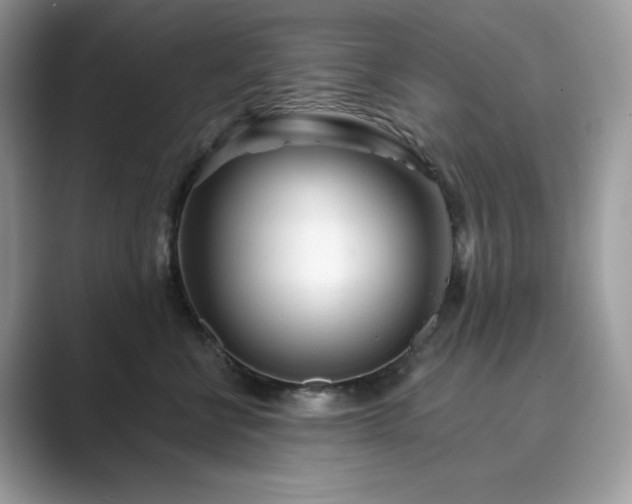 X0000089900570200707051310