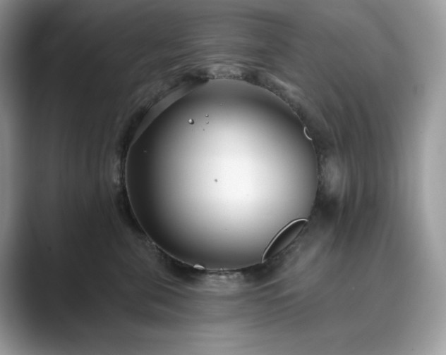 X0000089900571200707051310