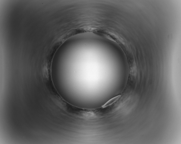 X0000089900572200707051310