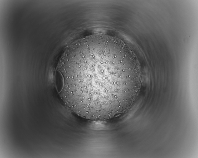 X0000089900573200707051310