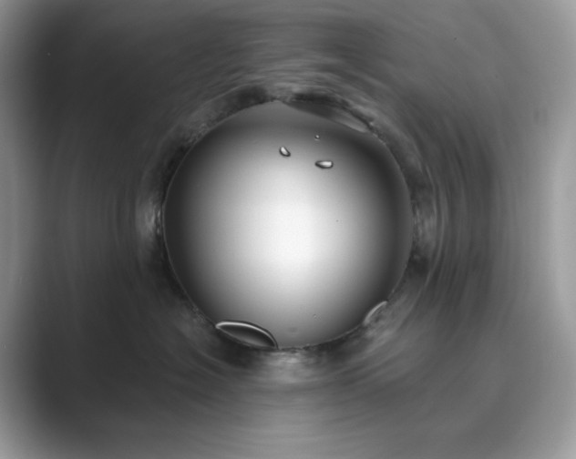 X0000089900574200707051310