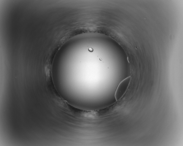 X0000089900576200707051310