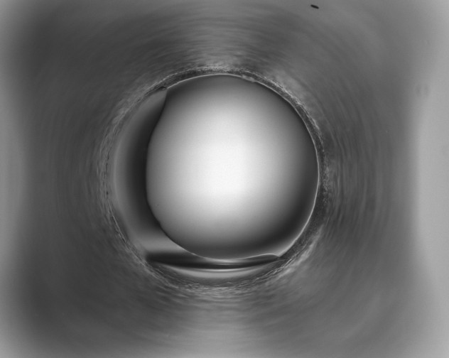 X0000089900577200707051309