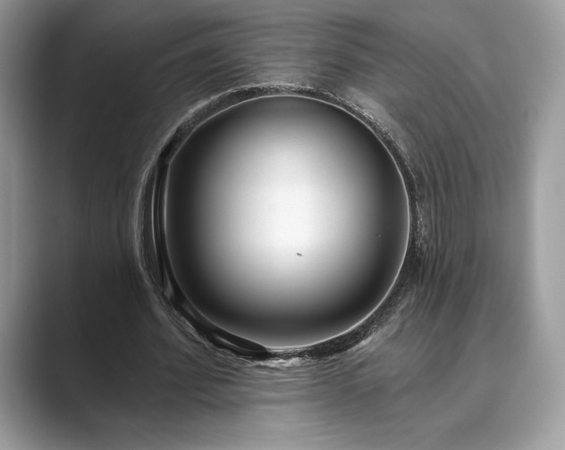 X0000089900580200707051309