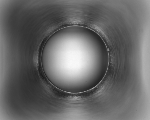 X0000089900582200707051309