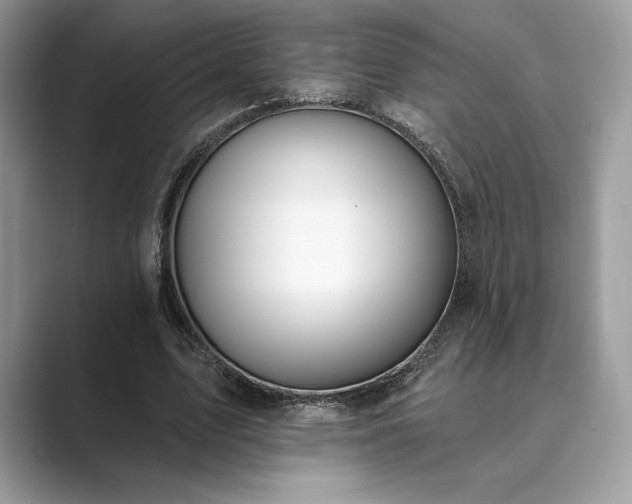 X0000089900583200707051309