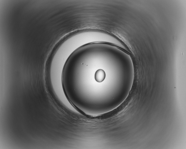 X0000089900584200707051309