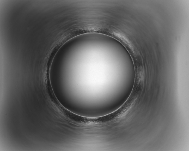 X0000089900585200707051309